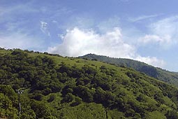 a60.jpg (13058 �o�C�g)