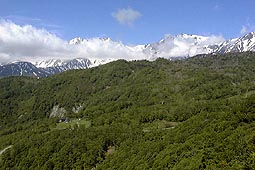 a79.jpg (15190 �o�C�g)