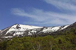 a88.jpg (13130 �o�C�g)