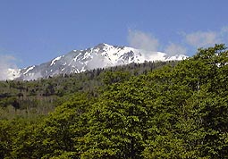 a89.jpg (17958 �o�C�g)