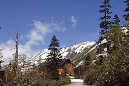 a98.jpg (16972 �o�C�g)