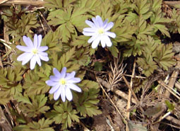 apr13a14.jpg (25250 �o�C�g)