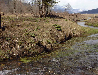 apr13a15.jpg (41453 �o�C�g)