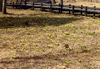 apr13a16.jpg (51236 �o�C�g)