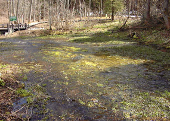 apr13a18.jpg (41762 �o�C�g)