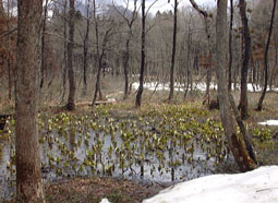 apr13a7.jpg (21495 �o�C�g)