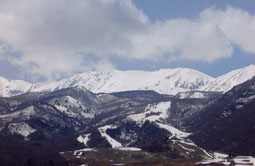 apr15p1.jpg (11797 �o�C�g)