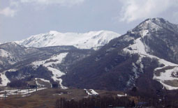 apr15p7.jpg (11324 �o�C�g)