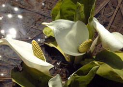 apr16a1.jpg (16468 �o�C�g)