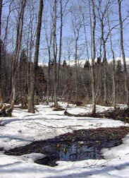 apr16a2.jpg (22629 �o�C�g)