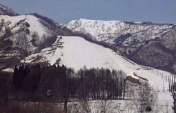 apr1p10.jpg (13954 �o�C�g)