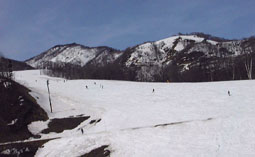 apr1p11.jpg (10473 �o�C�g)