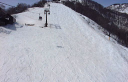 apr1p12.jpg (11817 �o�C�g)