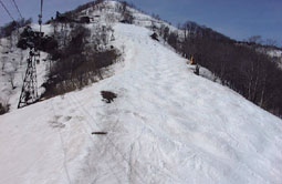 apr1p13.jpg (12212 �o�C�g)