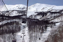 apr1p15.jpg (18942 �o�C�g)