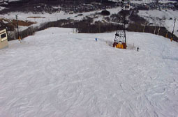 apr1p17.jpg (12479 �o�C�g)