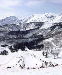 apr1p3.jpg (20300 �o�C�g)