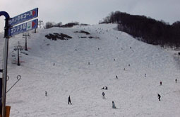 apr1p4.jpg (11075 �o�C�g)