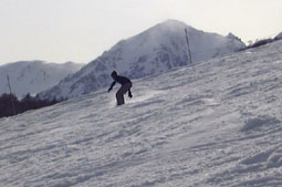 apr1p5.jpg (11887 �o�C�g)