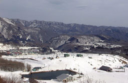 apr1p8.jpg (13260 �o�C�g)