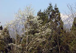 apr20p1.jpg (17987 �o�C�g)