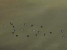 apr20s.jpg (3776 �o�C�g)