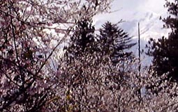 apr21s1.jpg (20280 �o�C�g)