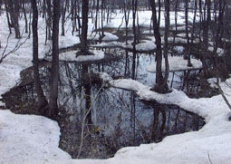 apr3p4.jpg (21140 �o�C�g)