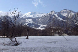 apr3p6.jpg (13350 �o�C�g)