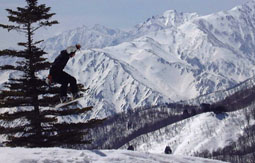 apr4p11.jpg (17033 �o�C�g)