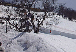 apr4p15.jpg (22171 �o�C�g)