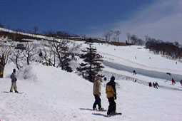 apr4p16.jpg (13091 �o�C�g)