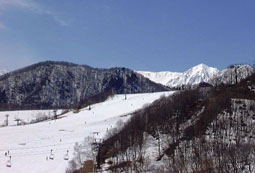 apr4p2.jpg (13088 �o�C�g)