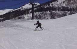 apr4p4.jpg (11292 �o�C�g)