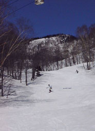 apr4p6.jpg (11441 �o�C�g)