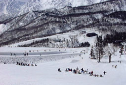 apr4p8.jpg (17478 �o�C�g)