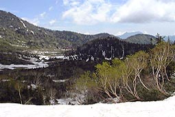 b11.jpg (15309 �o�C�g)