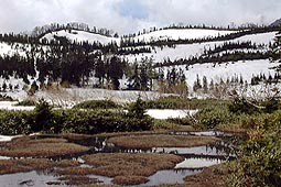 b15.jpg (21480 �o�C�g)