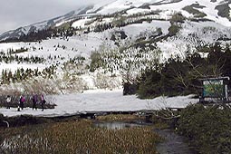 b18.jpg (20161 �o�C�g)