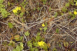 b22.jpg (30271 �o�C�g)