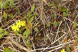 b23.jpg (28201 �o�C�g)