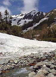 b3.jpg (22221 �o�C�g)