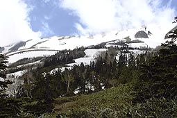 b32.jpg (16218 �o�C�g)