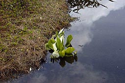 b33.jpg (16244 �o�C�g)