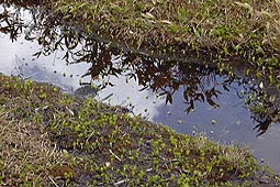 b39.jpg (25045 �o�C�g)