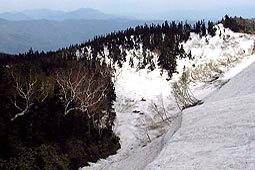 b43.jpg (15981 �o�C�g)