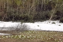 b57.jpg (32010 �o�C�g)