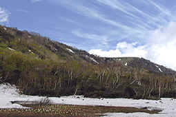 b59.jpg (26489 �o�C�g)