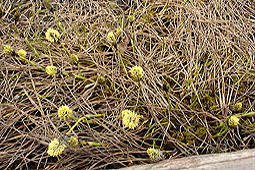 b60.jpg (55474 �o�C�g)