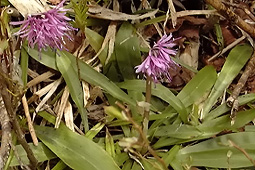 b63.jpg (36472 �o�C�g)